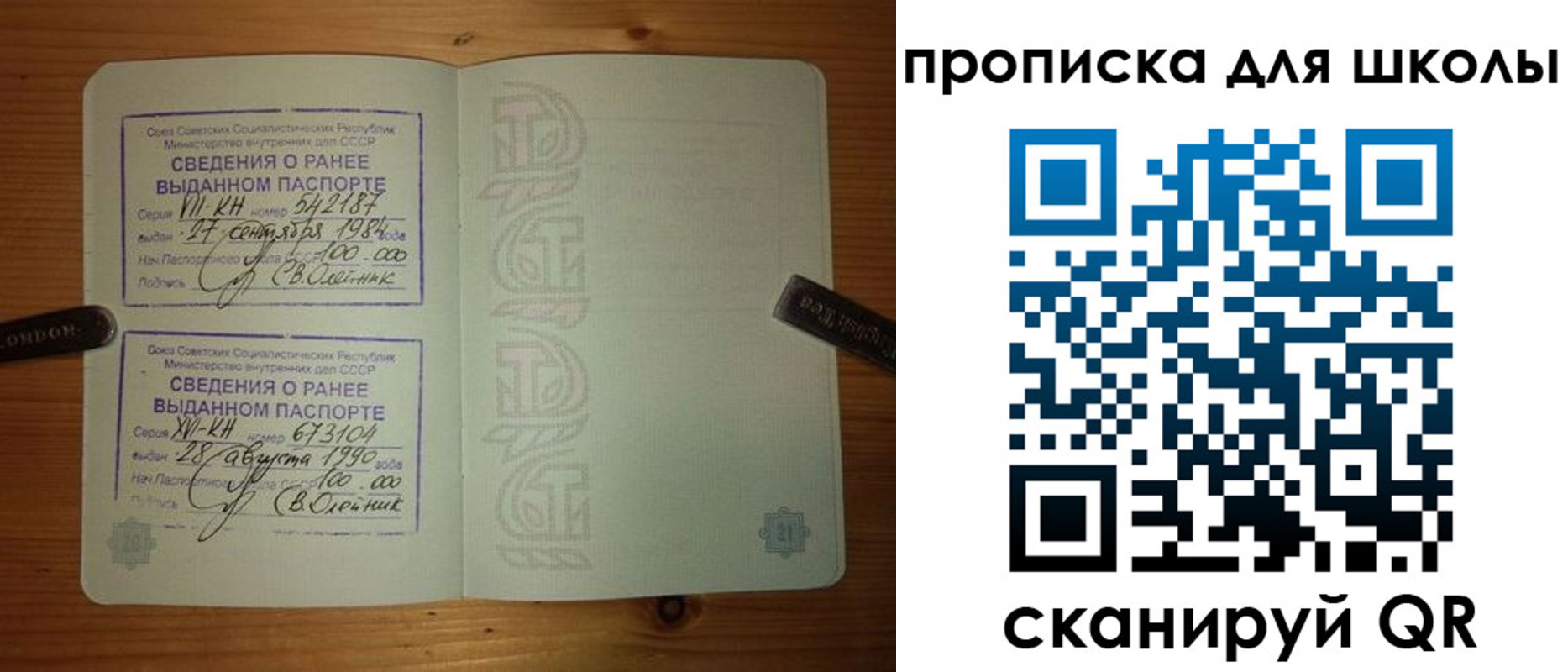 прописка для школы в Протвино